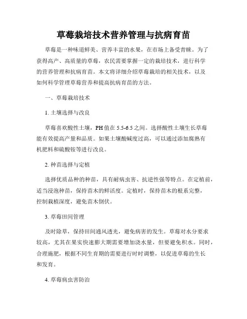 草莓栽培技术营养管理与抗病育苗
