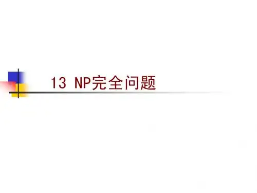 13 NP-完全问题