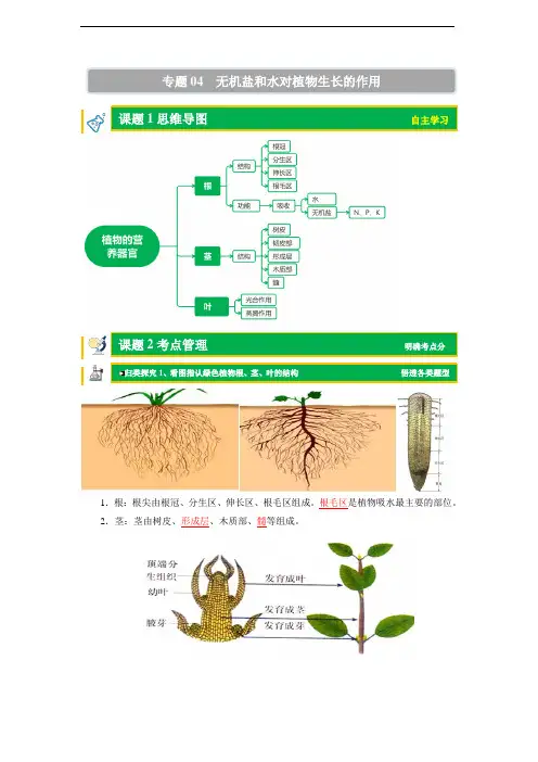 初中科学培优讲义(word版 含答案)专题04 无机盐和水对植物生长的作用(解析版)
