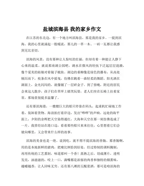 盐城滨海县 我的家乡作文