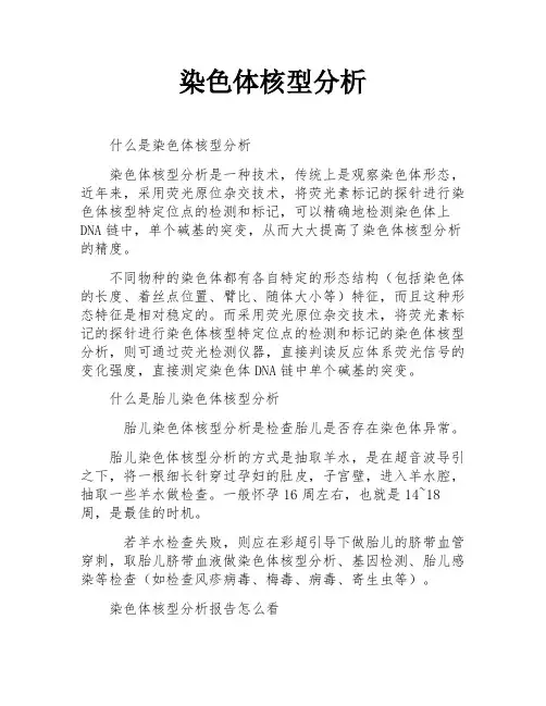 染色体核型分析