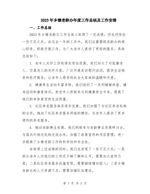 2023年乡镇老龄办年度工作总结及工作安排