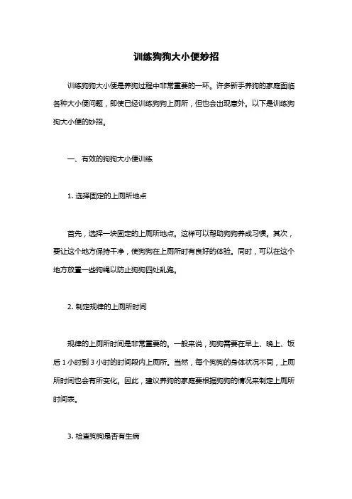 训练狗狗大小便妙招