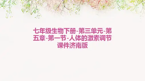 七年级生物下册-第三单元-第五章-第一节-人体的激素调节课件济南版