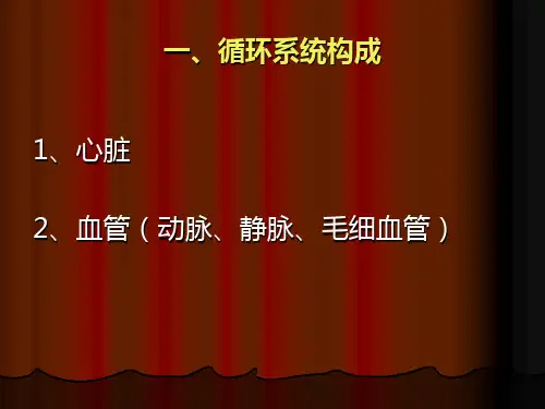 循环系统图示课件