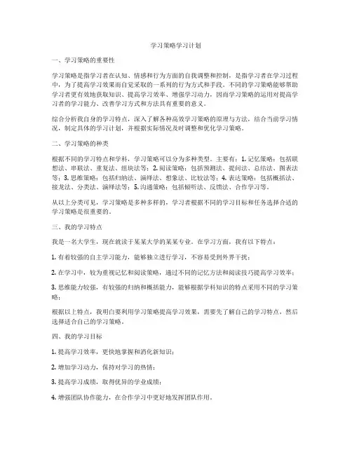 学习策略学习计划