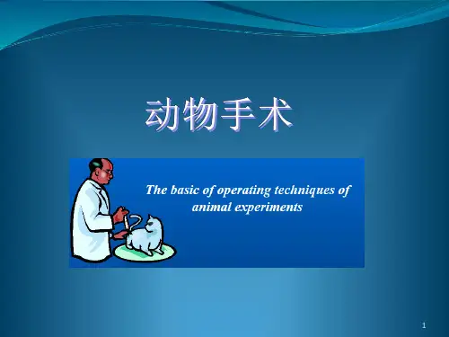 动物外科手术PPT课件