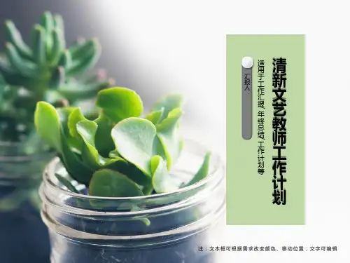 工作计划总结PPT模板合集(4套)