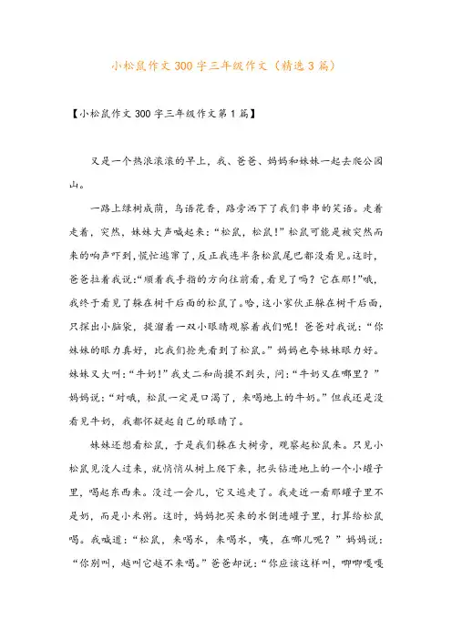 小松鼠作文300字三年级作文(精选3篇)