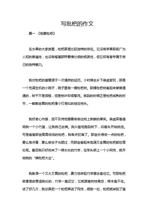 写批杷的作文