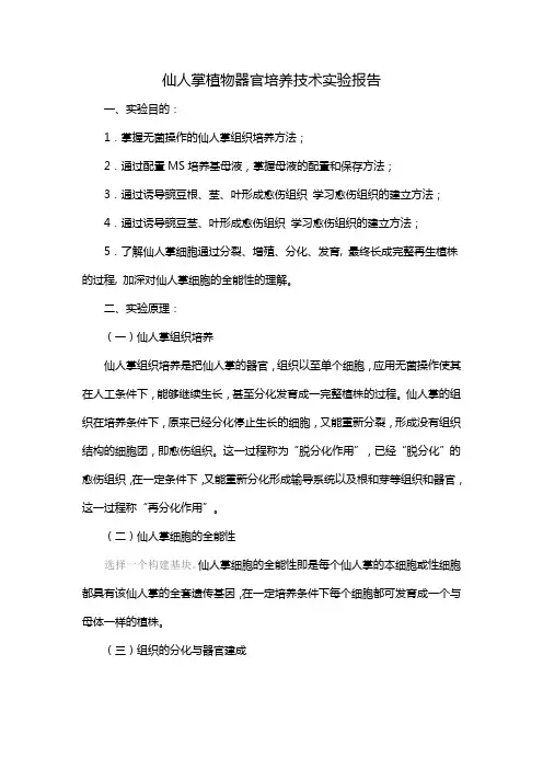 仙人掌植物器官培养技术实验报告