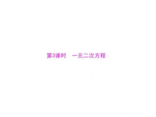 中考专题复习课件 -- 一元二次方程 (22张)