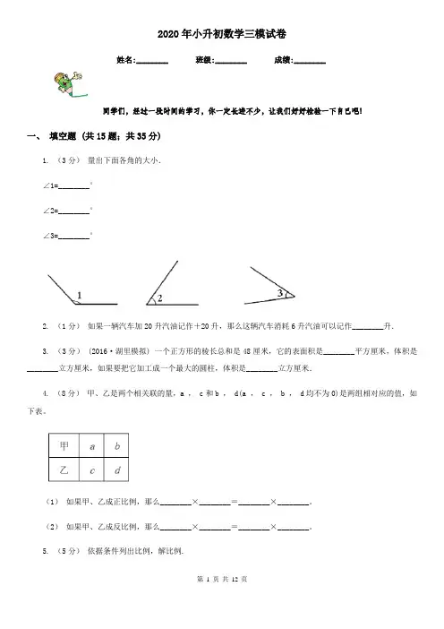 2020年小升初数学三模试卷