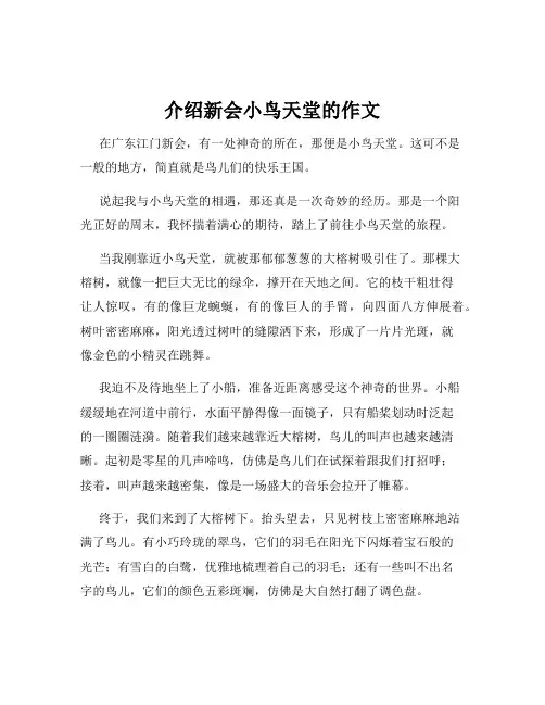 介绍新会小鸟天堂的作文