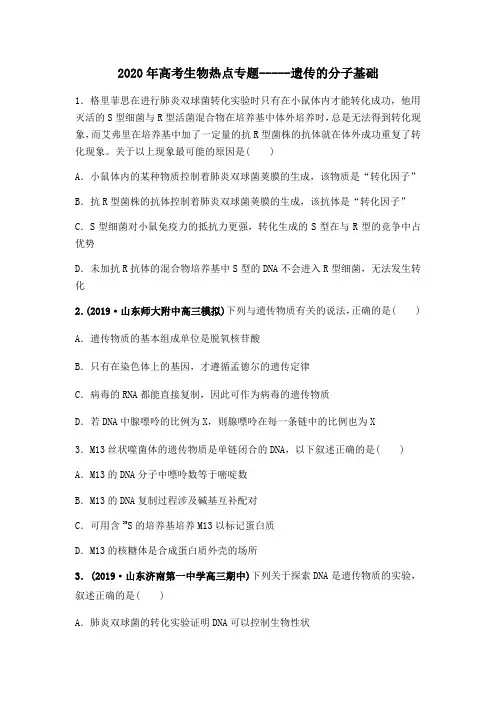 2020年高考生物热点专题 遗传的分子基础(附答案解析)