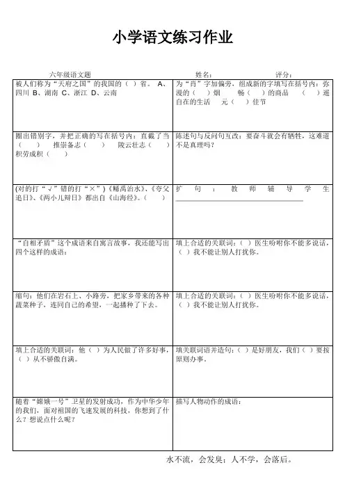 小学六年级语文素养提升练习24 (97)