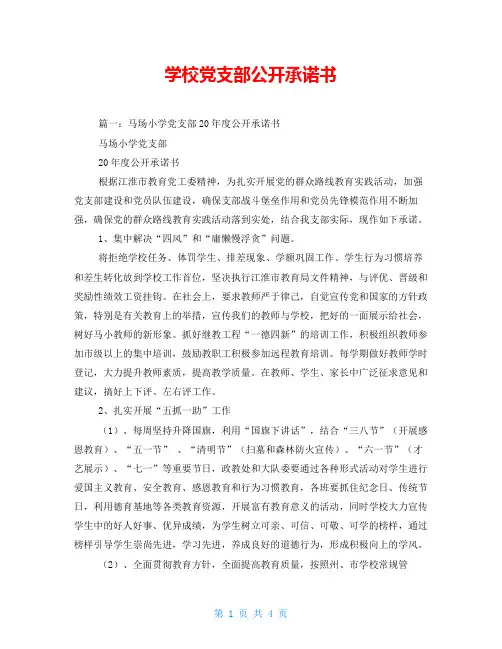 学校党支部公开承诺书