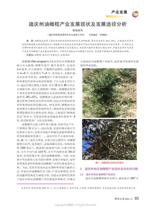 迪庆州油橄榄产业发展现状及发展途径分析