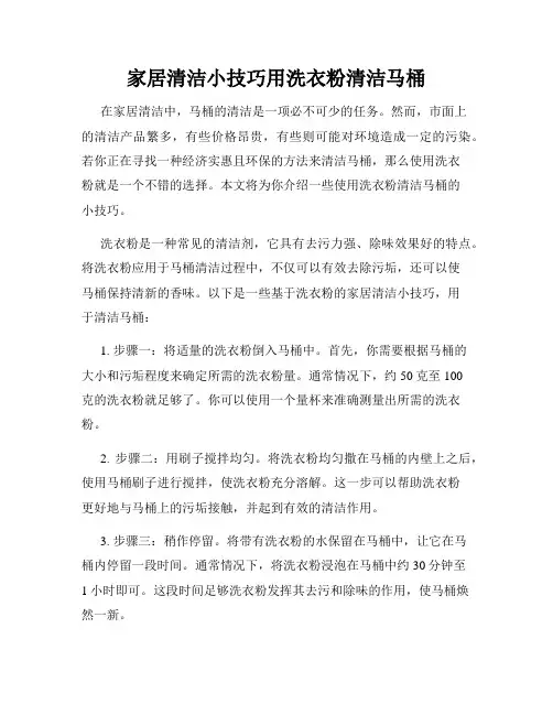 家居清洁小技巧用洗衣粉清洁马桶