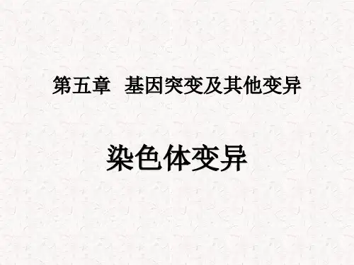 5.2 染色体变异-人教版高中生物必修二课件(共15张PPT)
