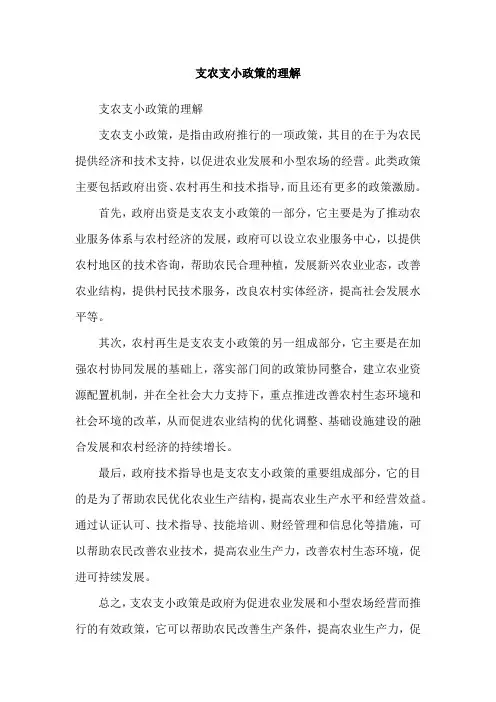 支农支小政策的理解