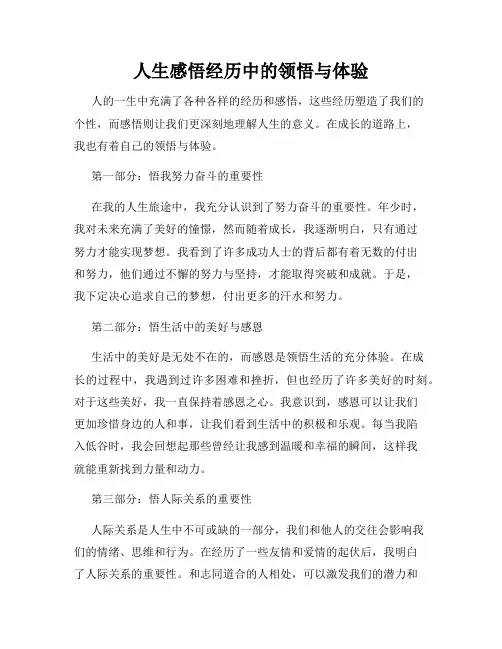 人生感悟经历中的领悟与体验