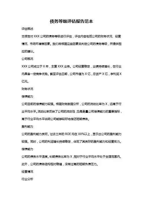 债务等级评估报告范本