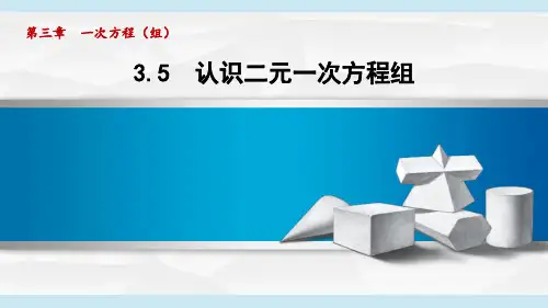 2024年湘教版七年级数学上册 3.5 认识二元一次方程组(课件)