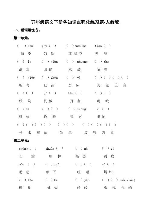 五年级语文下册各知识点强化练习题-人教版