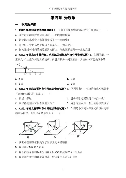 中考物理历年真题专题训练 第四章 光现象