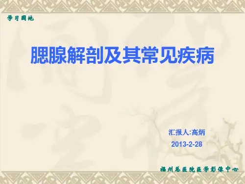 腮腺的解剖及常见疾病高炳ppt课件
