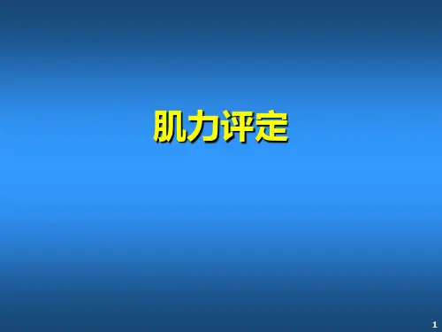 肌力评定