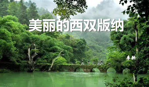 美丽的西双版纳