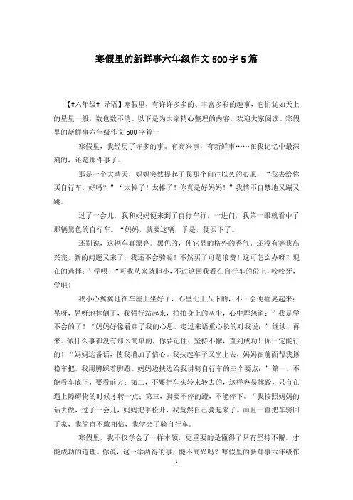 寒假里的新鲜事六年级作文500字5篇