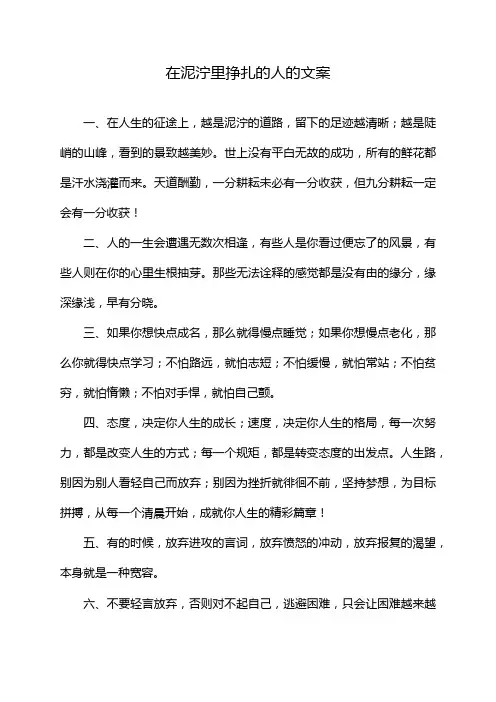 在泥泞里挣扎的人的文案