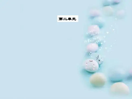 辽、宋、西夏、金并立ppt1 华东师大版