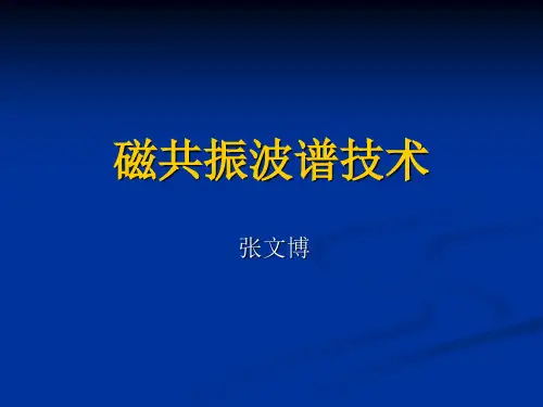 磁共振波谱技术(讲+全)