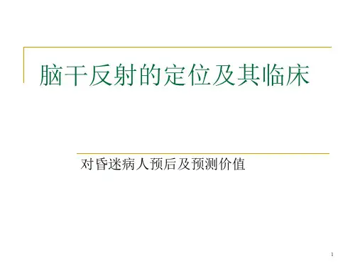 脑干反射与意义ppt课件