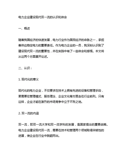 电力企业建设现代双一流的认识和体会