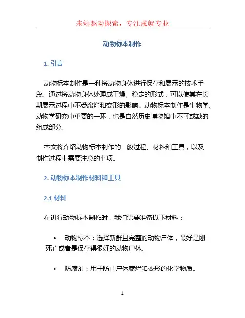 动物标本制作