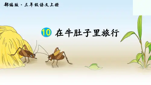 人教版部编版三年级语文上册《在牛肚子里旅行》优秀教学课件