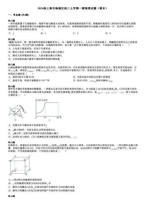 2024届上海市杨浦区高三上学期一模物理试题(期末)