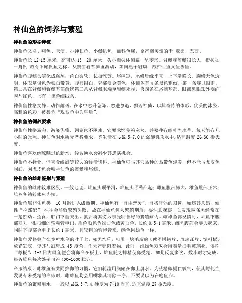 神仙鱼的饲养与繁殖