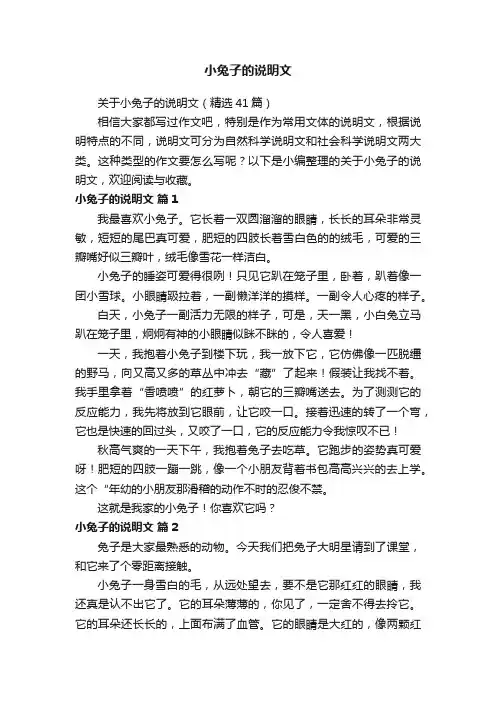 关于小兔子的说明文（精选41篇）