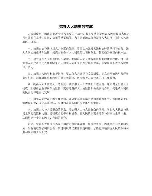 完善人大制度的措施