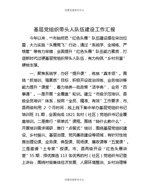 基层党组织带头人队伍建设工作汇报