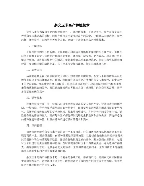 杂交玉米高产种植技术
