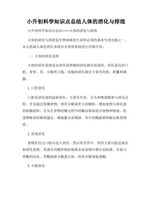 小升初科学知识点总结人体的消化与排泄