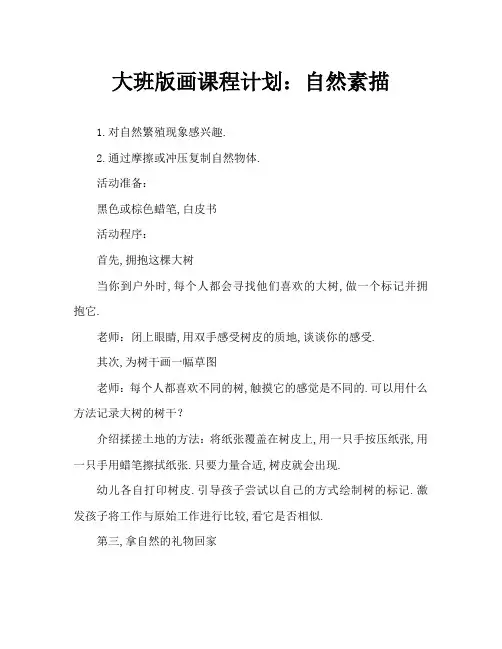 大班版画教案：大自然的素描