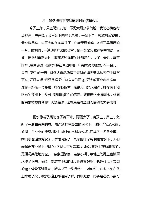 用一段话描写下突然暴雨时的情景作文